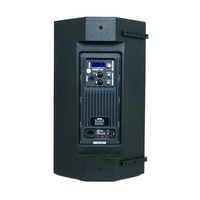 PowerWorks ARTEMIS 12PD Active Speaker - 