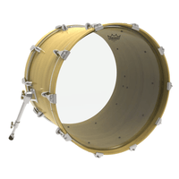 Remo Pinstripe Clear PS-0314-00 14