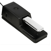 Roland DP - 10 Piano - Style Sustain Pedal with Half - Damper Control - 4957054087562