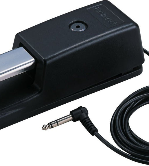 Roland DP - 10 Piano - Style Sustain Pedal with Half - Damper Control - 4957054087562