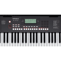 Roland E - X10 - 61 - Key Arranger Keyboard - 4957054518240
