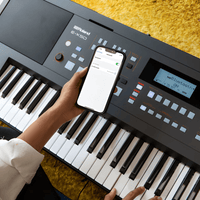 Roland E - X50 Arranger 61 Keyboard - 761294518175