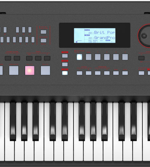 Roland E - X50 Arranger 61 Keyboard - 761294518175