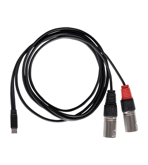 Rubiqube TCDXL Type C to Dual XLR Male Cable - 1.8 meters - 