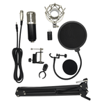 TBM -800 Broadcasting & Media Studio Condenser Microphone Package - 