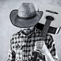 Tecnix TGC - S Guitar Capo - Silver - 