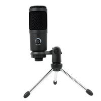 Tecnix TUSB - 700 Studio Condenser Microphone with USB - 