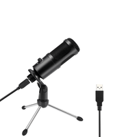 Tecnix TUSB - 700 Studio Condenser Microphone with USB - 