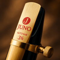 Vandoren Juno Alto Saxophone Reeds – Box of 10, Size 2.5 - 008576190071
