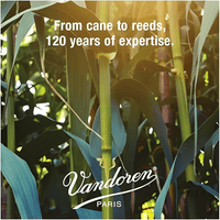 Vandoren Juno Clarinet Reeds – Box of 10, Size 3 - 008576190033