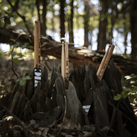 Vic Firth N7AN Terra™ Series Drumsticks with Nylon Tip - 750795010097