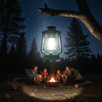 Waco O0004840 Solar Lantern Green (12 White LEDs, 24cm Height) - 