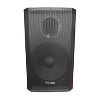 XAudio KK-15PB 15